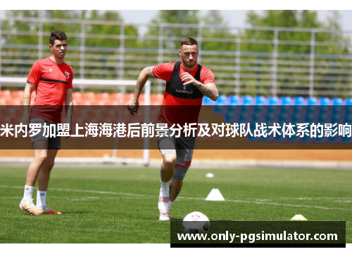 米内罗加盟上海海港后前景分析及对球队战术体系的影响